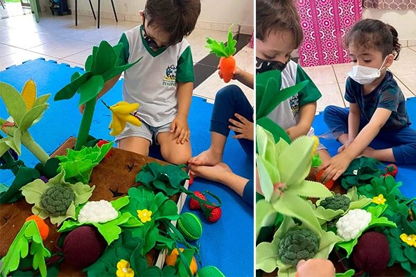 Prática nas escolas - Educar e Nutrir